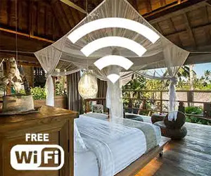 The Coconest Comfort Stay